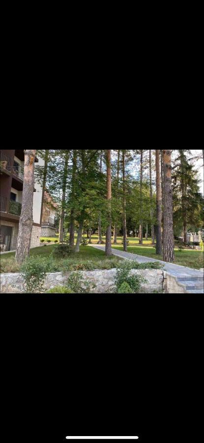 Titova Vila Zlatibor Mountain View Apartment Dış mekan fotoğraf